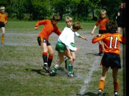 0DIA 1984 RAVA PUPS 1
